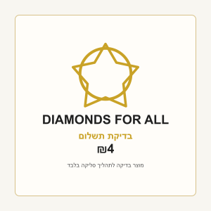 בדיקת תשלום 4 ₪